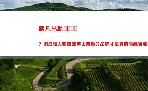 蔣凡出軌？網紅張大奕這些年山寨過的品牌才是真的隱藏寶藏啊(阿里蔣凡出軌)